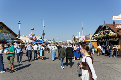 IMG_4768_sil.jpg