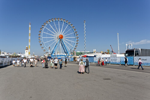 IMG_4773_sil.jpg
